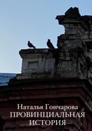 бесплатно читать книгу Провинциальная история автора Наталья Гончарова