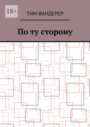 бесплатно читать книгу По ту сторону автора Тим Вандерер