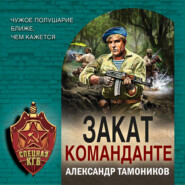 бесплатно читать книгу Закат команданте автора Александр Тамоников