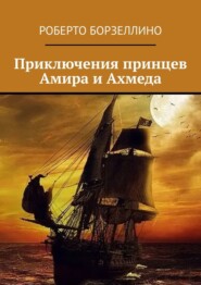 бесплатно читать книгу Приключения принцев Амира и Ахмеда автора Роберто Борзеллино