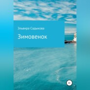 бесплатно читать книгу Зимовенок автора Эльвира Садыкова