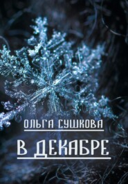бесплатно читать книгу В декабре автора Евгений Ярошенко