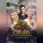 бесплатно читать книгу Страна магических камней автора Алёна Петрачкова