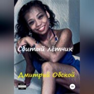 бесплатно читать книгу Сбитый лётчик автора Дмитрий Обской