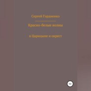 Красно-белые волны в Царицыне и окрест