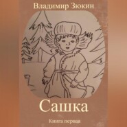 бесплатно читать книгу Сашка автора Владимир Зюкин