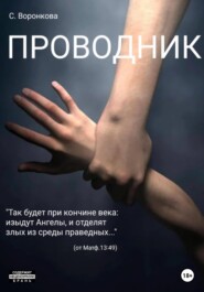бесплатно читать книгу Проводник автора Светлана Воронкова