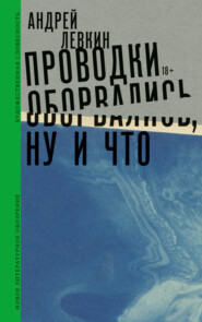 бесплатно читать книгу Проводки оборвались, ну и что автора Андрей Левкин