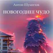 бесплатно читать книгу Новогоднее чудо автора Антон Шумилов