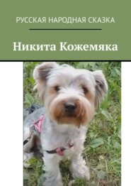 бесплатно читать книгу Никита Кожемяка автора Владимир Токарев