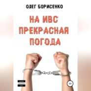 бесплатно читать книгу На ИВС прекрасная погода автора Олег Борисенко