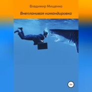 бесплатно читать книгу Внеплановая командировка автора Владимир Мищенко