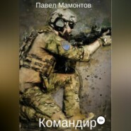 бесплатно читать книгу Командир автора Павел Мамонтов