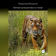 бесплатно читать книгу Летнее путешествие по тайге автора Владимир Мищенко