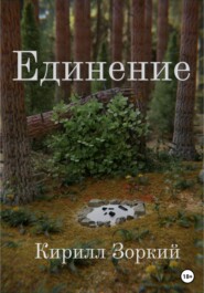 бесплатно читать книгу Единение автора Кирилл Зоркий