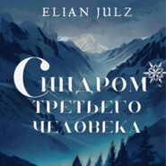 бесплатно читать книгу Синдром третьего человека автора  Elian Julz