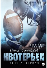 бесплатно читать книгу Квотербек автора Екатерина Орлова