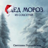 бесплатно читать книгу Дед Мороз из соцсетей автора Светлана Гороховская