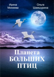 бесплатно читать книгу Планета Больших Птиц автора Ирина Михеева