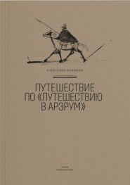 бесплатно читать книгу Путешествие по «Путешествию в Арзрум» автора Александр Долинин