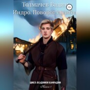 бесплатно читать книгу Индро. Поворот судьбы автора  Вадим Толмачев