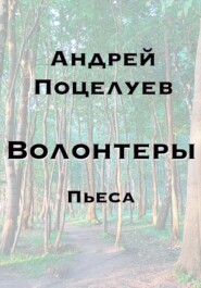 бесплатно читать книгу Волонтеры автора Андрей Поцелуев