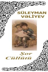 бесплатно читать книгу Şor cüllütü автора Süleyman Vəliyev