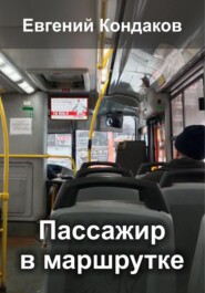 бесплатно читать книгу Пассажир в маршрутке автора Евгений Кондаков