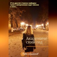 бесплатно читать книгу Академический год автора Павел Шушканов