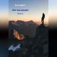 бесплатно читать книгу Кот под дождём автора Евгений С.