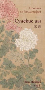 бесплатно читать книгу Сунские цы. Прописи по каллиграфии автора Тянь Инчжан