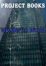 бесплатно читать книгу Wonderful World автора BOOKS PROJECT