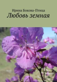 бесплатно читать книгу Любовь земная автора Ирина Бокова-Птица