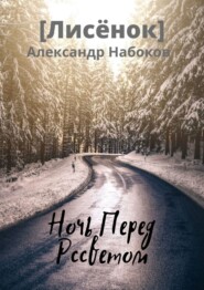 бесплатно читать книгу Ночь Перед Рассветом автора Александр Набоков