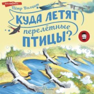 бесплатно читать книгу Куда летят перелётные птицы? автора Петр Волцит
