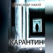 бесплатно читать книгу Карантин автора Александр Накул
