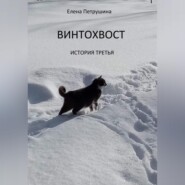 бесплатно читать книгу Винтохвост-3 автора Елена Петрушина