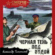 бесплатно читать книгу Черная тень под водой автора Александр Тамоников