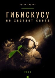 бесплатно читать книгу Гибискусу не хватает света автора Кирилл Кузин