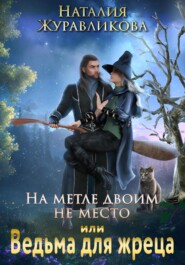 бесплатно читать книгу На метле двоим не место, или Ведьма для жреца автора Наталия Журавликова