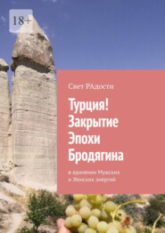 бесплатно читать книгу Турция! Закрытие эпохи Бродягина. В единении Мужских и Женских энергий автора Свет РАдости