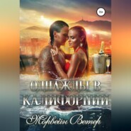 бесплатно читать книгу Однажды в Калифорнии автора Морвейн Ветер