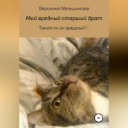 бесплатно читать книгу Мой вредный старший брат автора Вероника Меньшикова