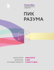 бесплатно читать книгу Пик разума. Сфокусируй внимание на продуктивности. Инвестируй в себя 12 минут в день автора Амиши Джа