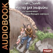 бесплатно читать книгу Мастер для эльфийки, или приключения странствующего электрика автора Игорь Осипов