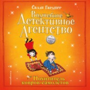 бесплатно читать книгу Похититель ковров-самолётов автора Салли Гарднер