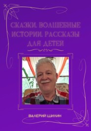 бесплатно читать книгу Сказки, волшебные истории, рассказы для детей автора Валерий Шилин