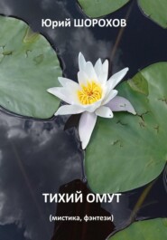 бесплатно читать книгу Тихий омут автора Юрий Шорохов