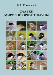 бесплатно читать книгу Славки мировой орнитофауны автора Владимир Паевский