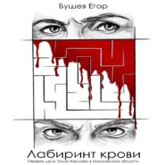 бесплатно читать книгу Лабиринт Крови автора Егор Бушев